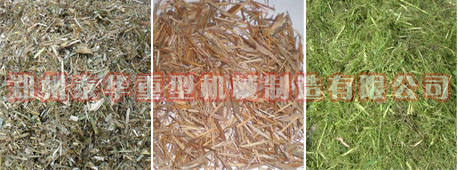 绿巨人视频最新官网 大型绿巨人视频最新官网